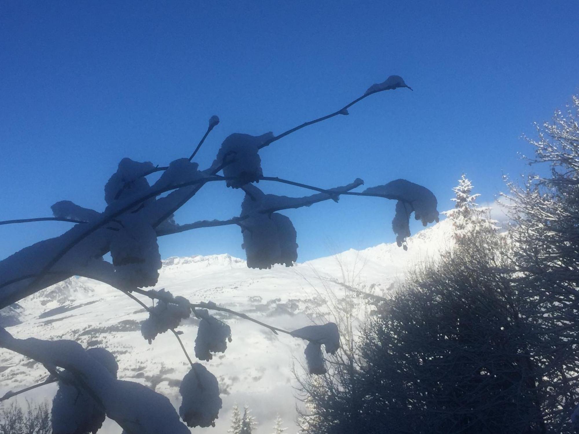 Les Arcs 1800 Bourg-Saint-Maurice Exterior foto